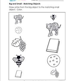 Big and Small Worksheet: Objects