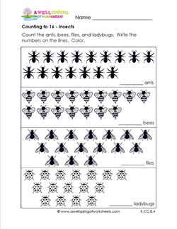 Counting to 16 - Insects
