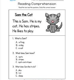 Kindergarten Reading Comprehension - Sam the Cat. Three multiple choice reading comprehension questions.