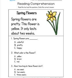 Kindergarten Reading Comprehension - Spring Flowers. Three multiple choice reading comprehension questions.